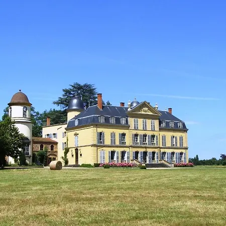 Le Château D'ailly Parigny (Loire)