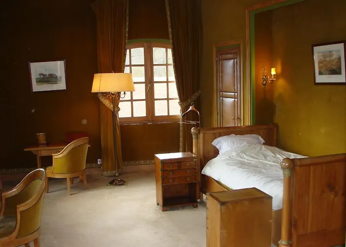 Le Chateau D'ailly Parigny (Loire)